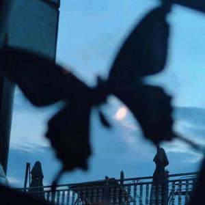 日韩少妇巨乳做爰
